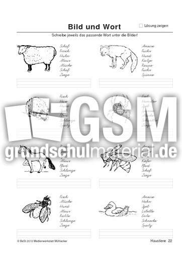 BuW Haustiere22.pdf